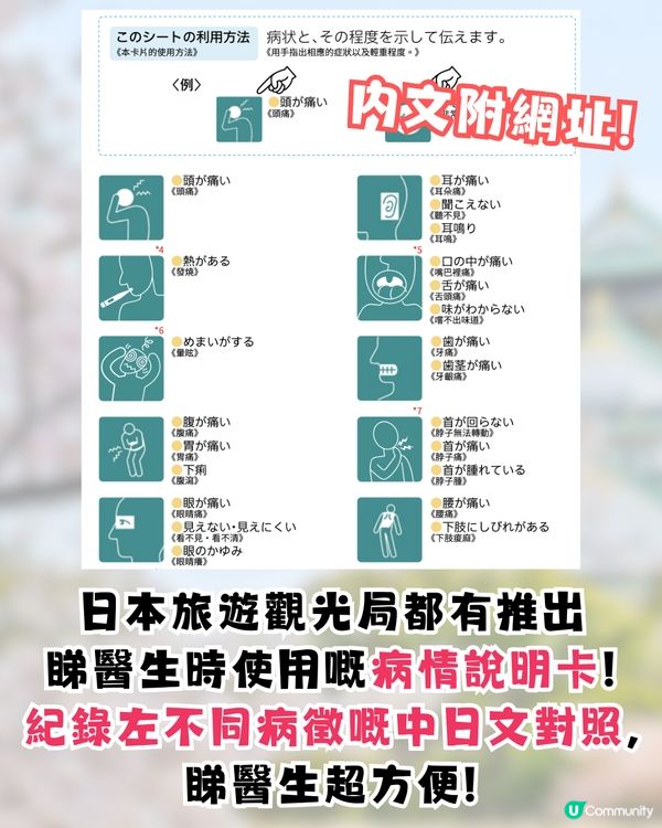 日本諾如病毒5大高危食物🦪1食物濃縮99倍病毒⁉️附日本睇醫生實用詞語🤧