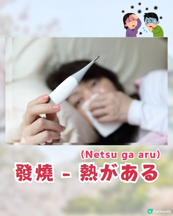 日本諾如病毒5大高危食物🦪1食物濃縮99倍病毒⁉️附日本睇醫生實用詞語🤧