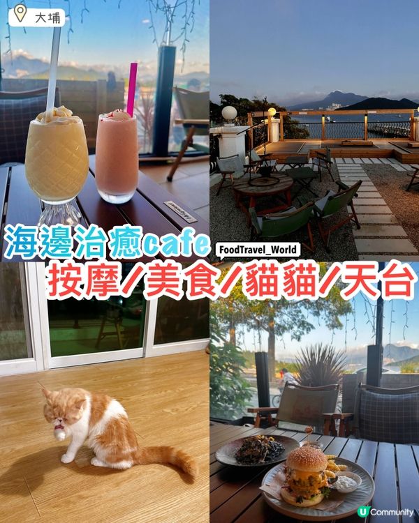 Cafe x 貓貓 x 按摩🤩大尾篤海邊天台靚景😍