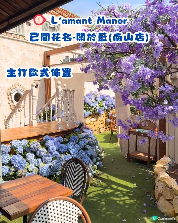 深圳繡球花網紅Cafe☕️附3大打卡位😍