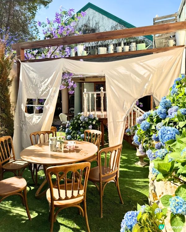 深圳Blue Concept關於藍打卡Cafe繡球花花園☕️7大影相位😍用上真花佈置‼️ 