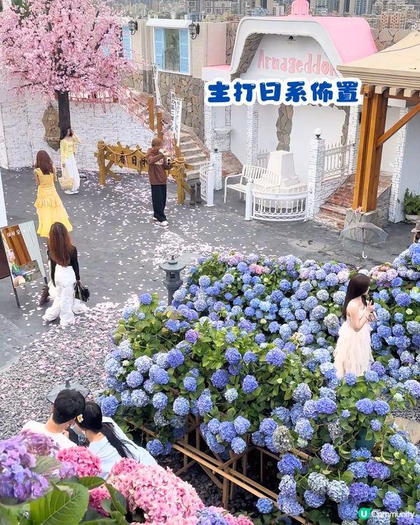 深圳Blue Concept關於藍打卡Cafe繡球花花園☕️7大影相位😍用上真花佈置‼️ 