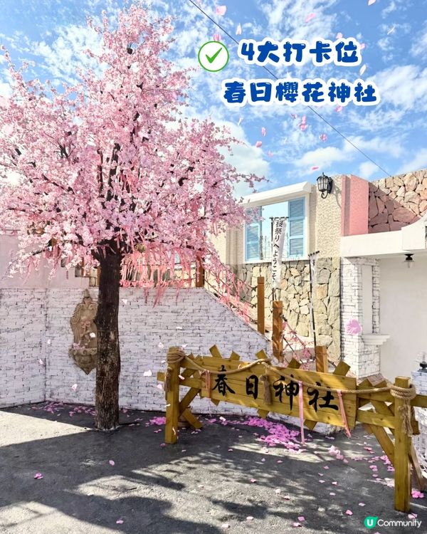 深圳Blue Concept關於藍打卡Cafe繡球花花園☕️7大影相位😍用上真花佈置‼️ 