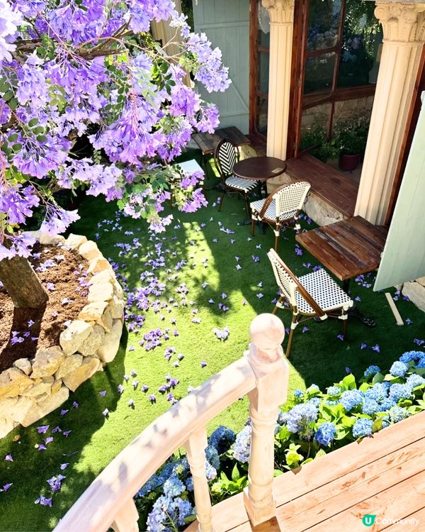 深圳繡球花網紅Cafe☕️附3大打卡位😍