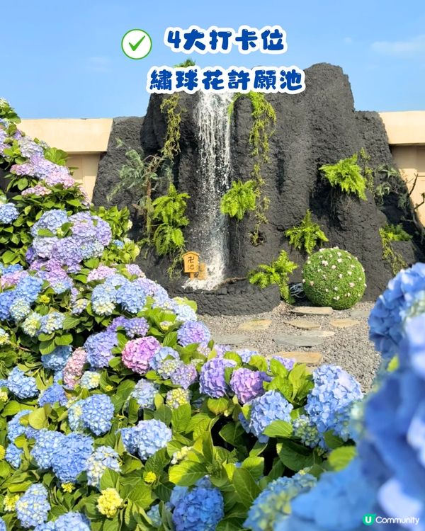 深圳Blue Concept關於藍打卡Cafe繡球花花園☕️7大影相位😍用上真花佈置‼️ 