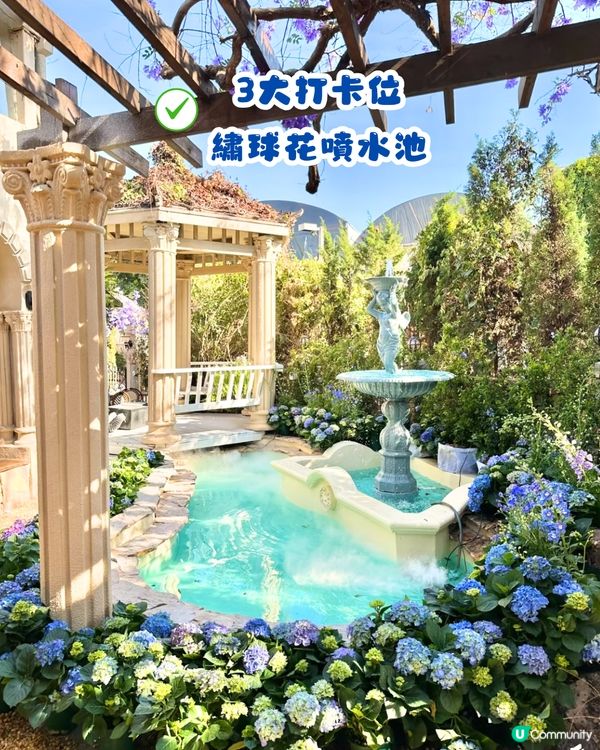 深圳繡球花網紅Cafe☕️附3大打卡位😍