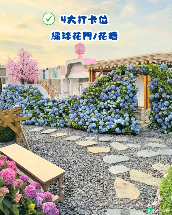 深圳Blue Concept關於藍打卡Cafe繡球花花園☕️7大影相位😍用上真花佈置‼️ 