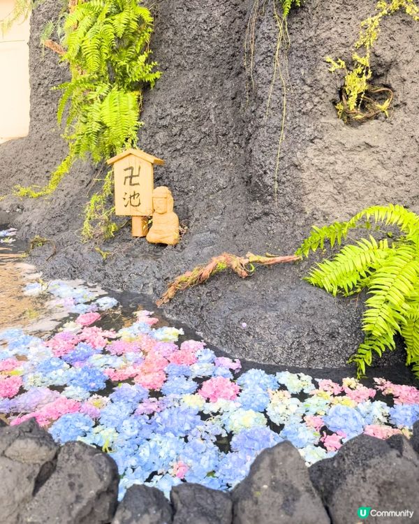 深圳Blue Concept關於藍打卡Cafe繡球花花園☕️7大影相位😍用上真花佈置‼️ 