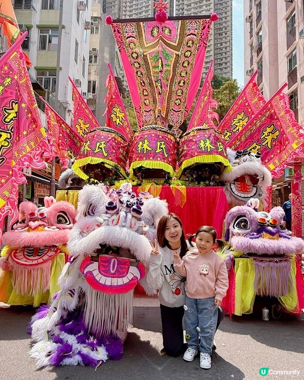 鴨脷洲洪聖傳統文化節❤️ #南區好去處 #香港傳統文化