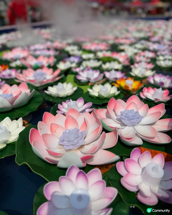 鴨脷洲洪聖傳統文化節❤️ #南區好去處 #香港傳統文化