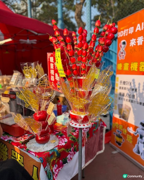 鴨脷洲洪聖傳統文化節❤️ #南區好去處 #香港傳統文化