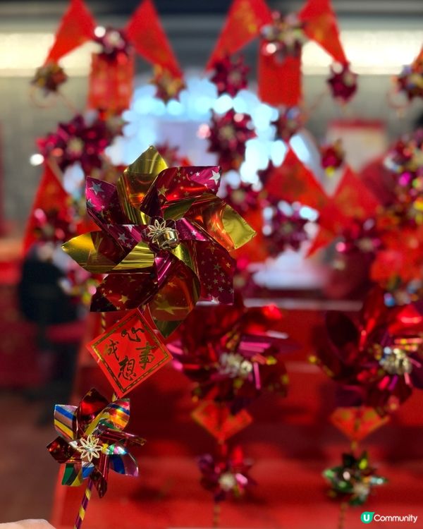 鴨脷洲洪聖傳統文化節❤️ #南區好去處 #香港傳統文化