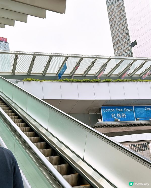 🎏維港附近發現🇭🇰多個不明屋仔⁉️