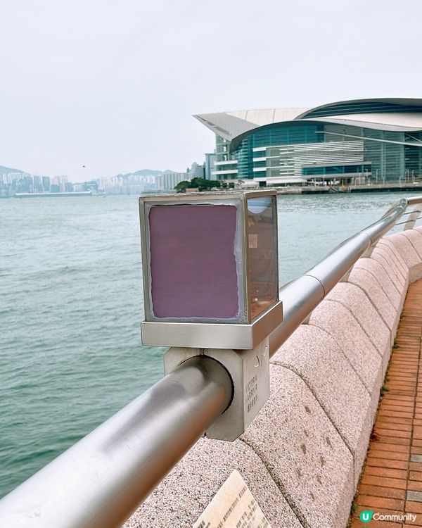 🎏維港附近發現🇭🇰多個不明屋仔⁉️