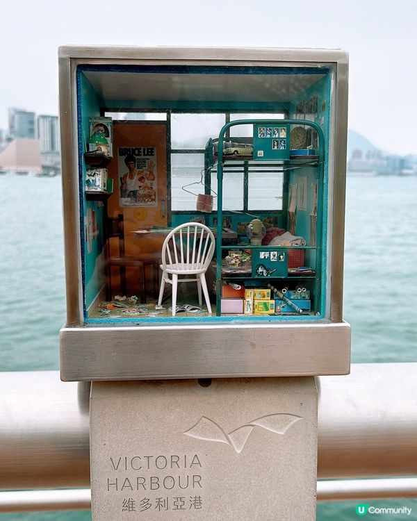 🎏維港附近發現🇭🇰多個不明屋仔⁉️