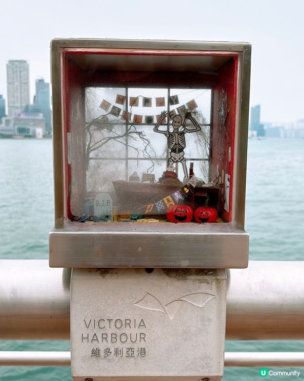 🎏維港附近發現🇭🇰多個不明屋仔⁉️