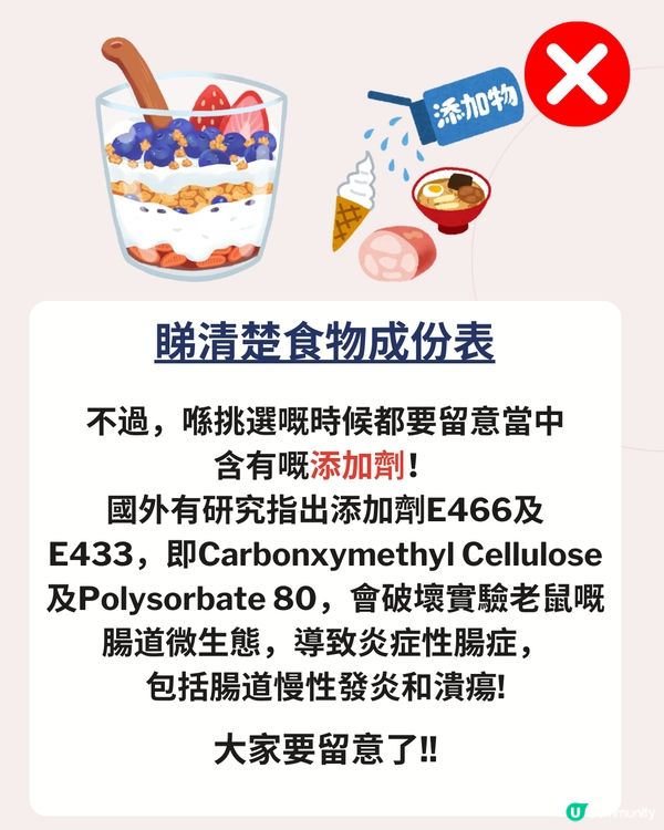 全脂乳酪vs低脂脫脂乳酪 ：到底邊一種對身體比較好？