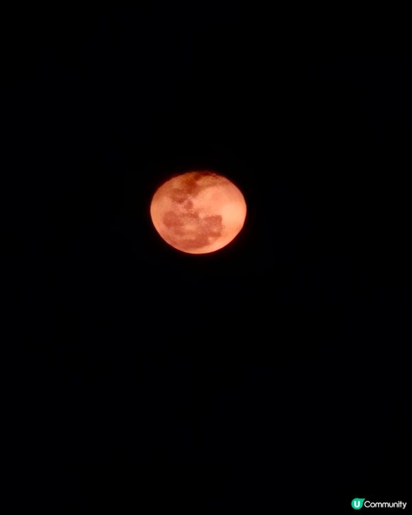 解鎖收費營地的好😜😍