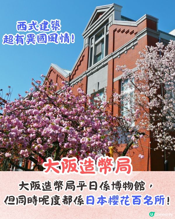 大阪造幣局櫻花大道即將開放🌸日本賞櫻百名所/1年只開放7日❗附入場預約教學📱