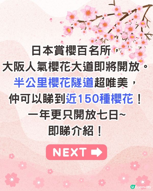 大阪造幣局櫻花大道即將開放🌸日本賞櫻百名所/1年只開放7日❗附入場預約教學📱