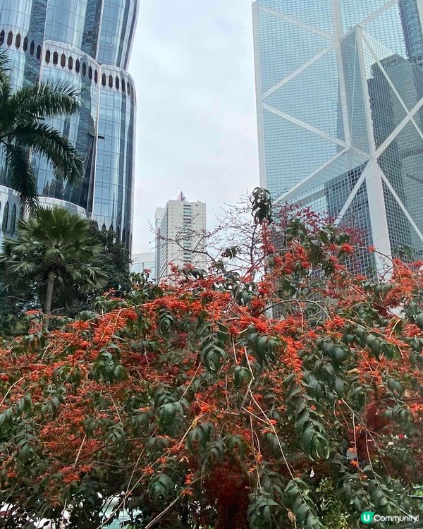 望見The Henderson，懷念恒基創辦人李兆基離世😢 