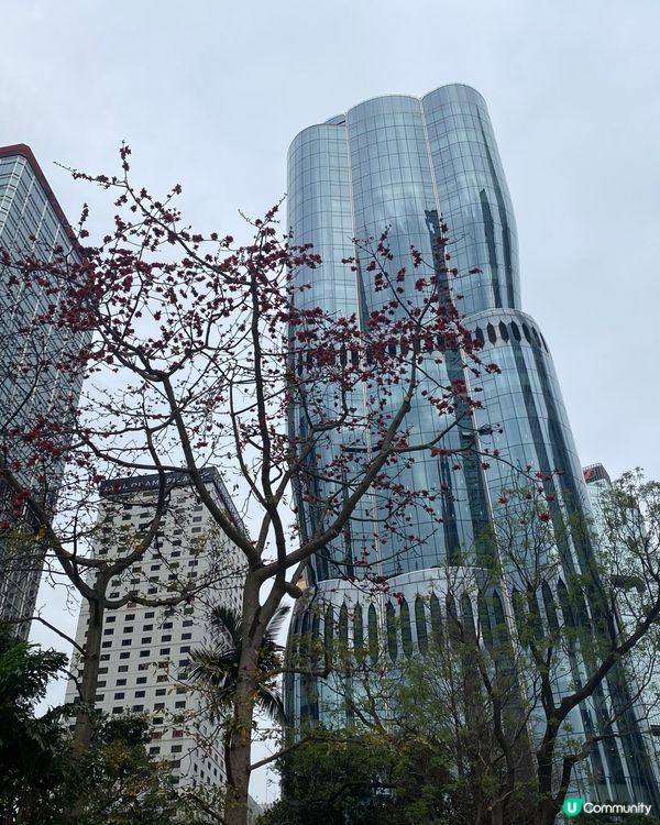 望見The Henderson，懷念恒基創辦人李兆基離世😢 