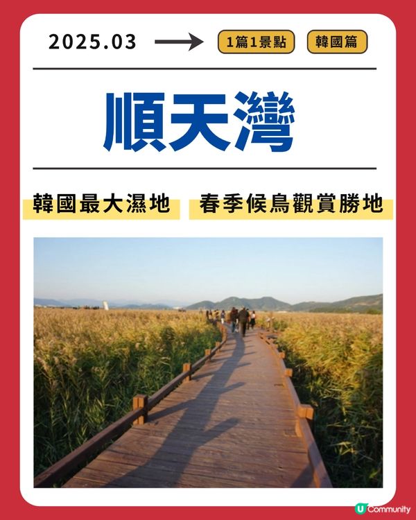順天灣：韓國最大濕地，春季候鳥觀賞勝地