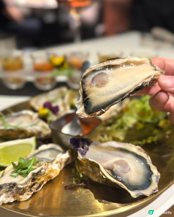 ［尖沙咀］半價優惠新開蠔店🦪🔥🔥任食蠔任飲酒水😍