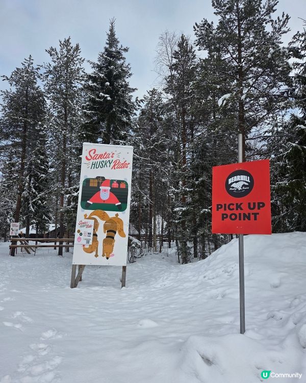 聖誕老人村🐶❄️  哈士奇拉雪橇體驗！