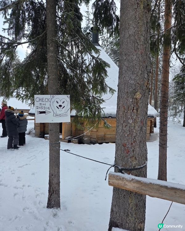 聖誕老人村🐶❄️  哈士奇拉雪橇體驗！