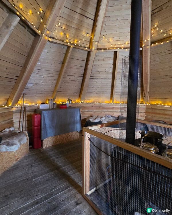 聖誕老人村🐶❄️  哈士奇拉雪橇體驗！