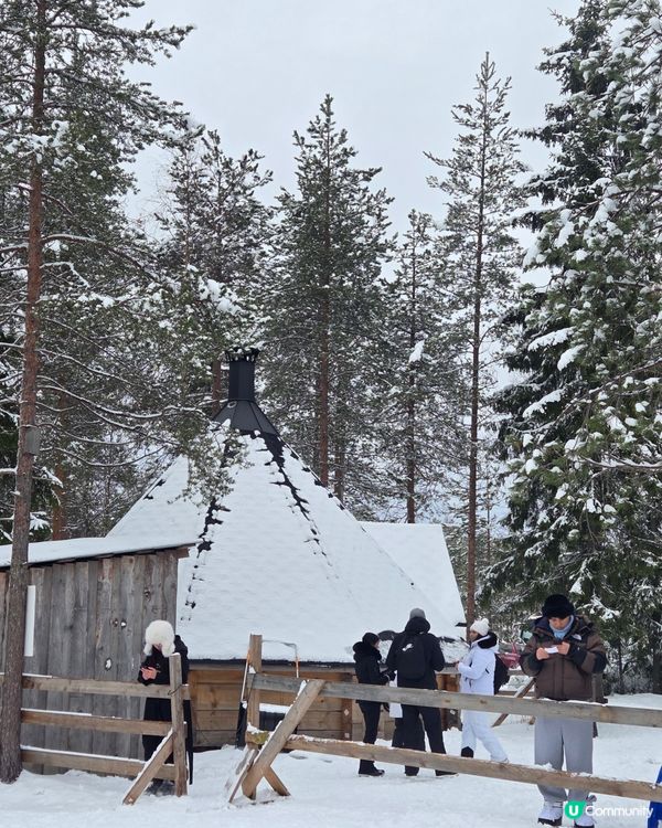 聖誕老人村🐶❄️  哈士奇拉雪橇體驗！