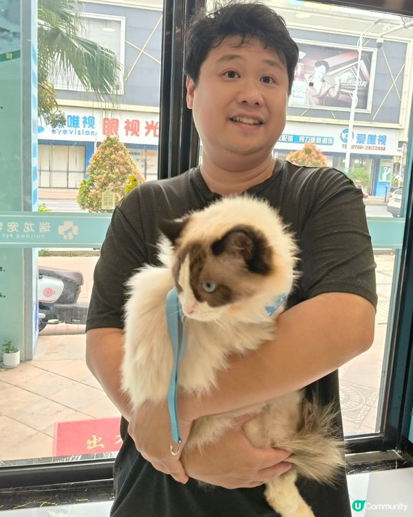 帶著我的布偶貓BADMAN去美容