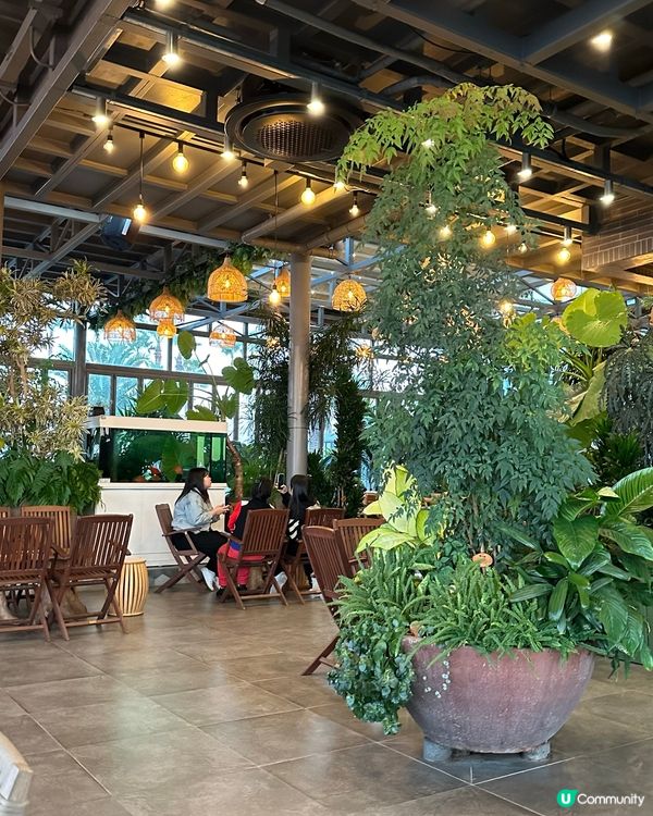 濟州睇日落最佳cafe‼️