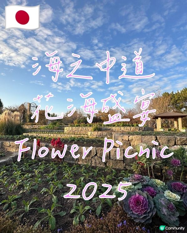 【🇯🇵海之中道花海盛宴-Flower Picnic 2025】