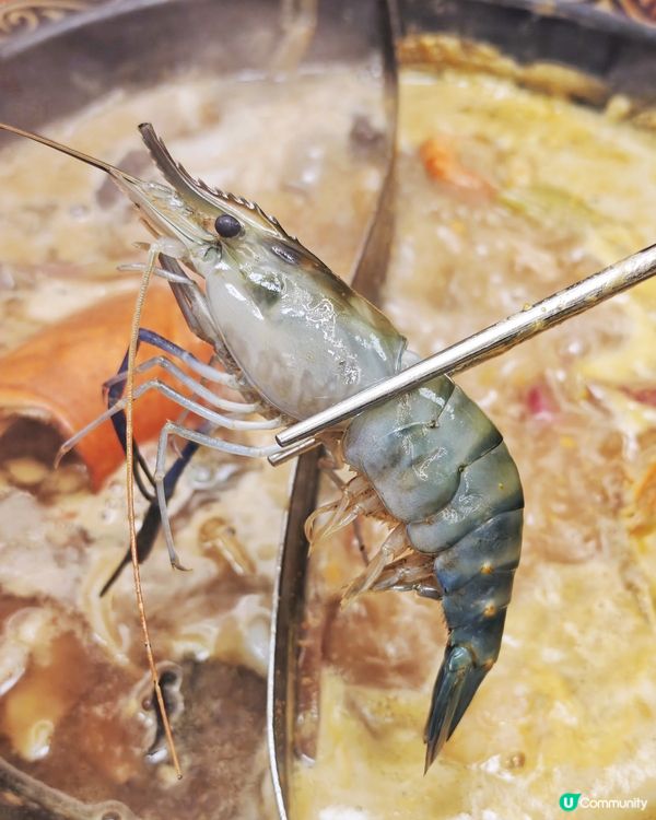 牛🥩同海鮮🦐都咁👍高質