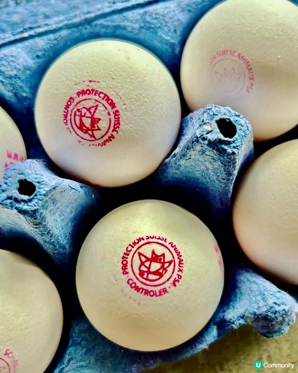 《自由奔放的瑞士雞》 🐓