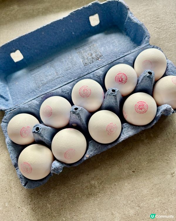 《自由奔放的瑞士雞》 🐓