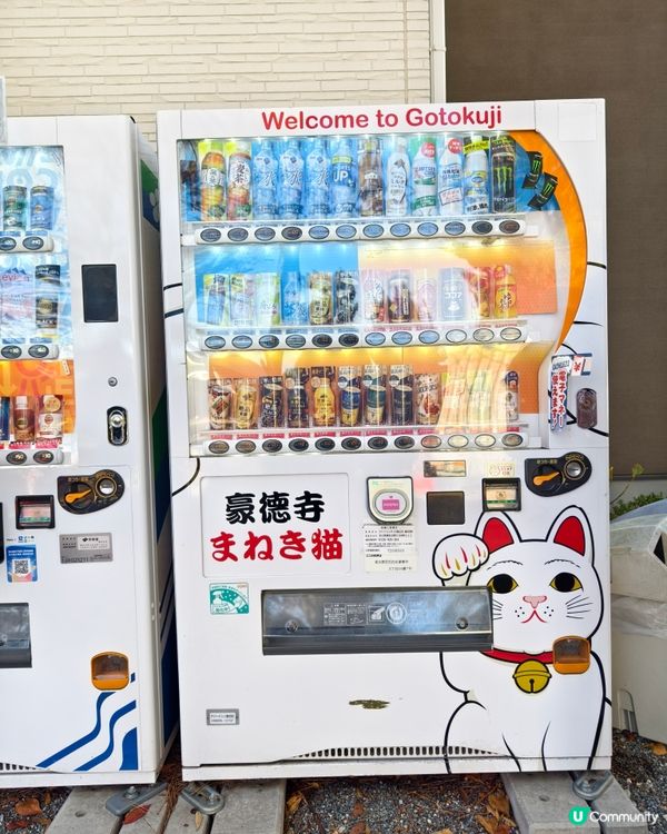 過1000隻招福貓等你來