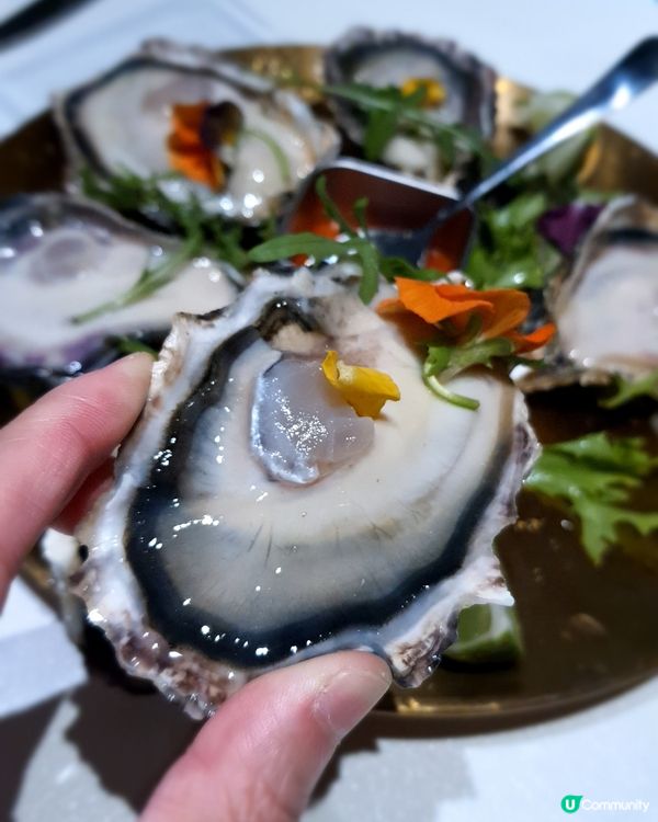 2小時任飲任食生蠔 😍