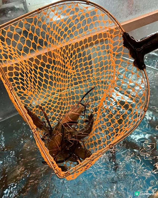 深圳必食海鮮燒烤 🔥 李小太 🦐🦪