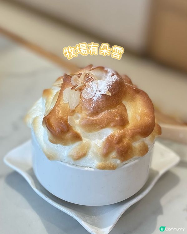 廣州飲茶新發現！😋喜作粵式點心精緻又好食！