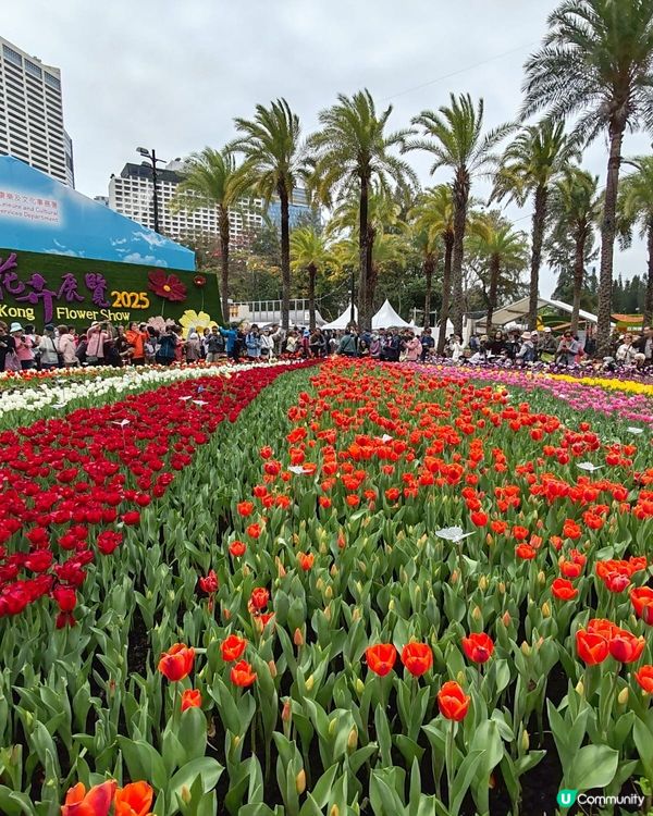 香港花卉展