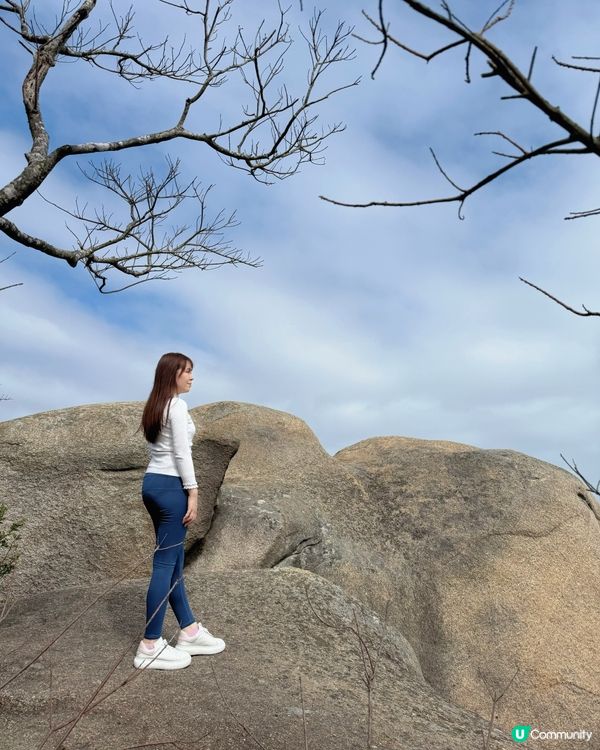 🌟澳門社區深度遊 :金像農場 + 金像步行徑+美食