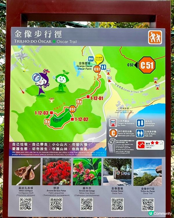 🌟澳門社區深度遊 :金像農場 + 金像步行徑+美食