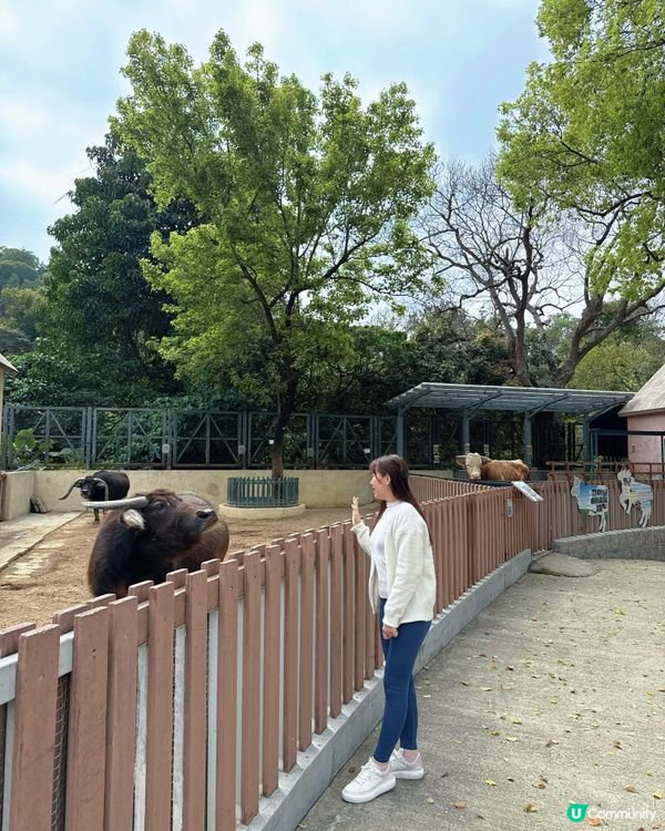 🌟澳門社區深度遊 :金像農場 + 金像步行徑+美食