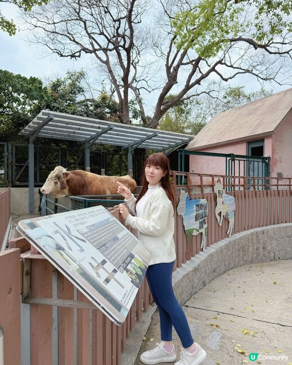 🌟澳門社區深度遊 :金像農場 + 金像步行徑+美食