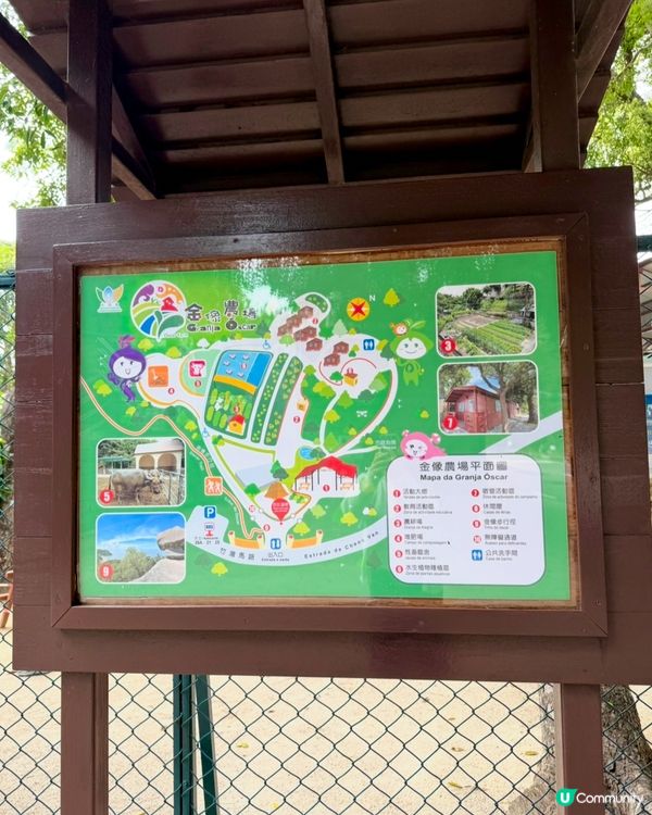 🌟澳門社區深度遊 :金像農場 + 金像步行徑+美食