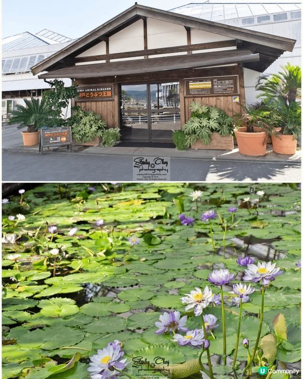 日本真係去極唔厭