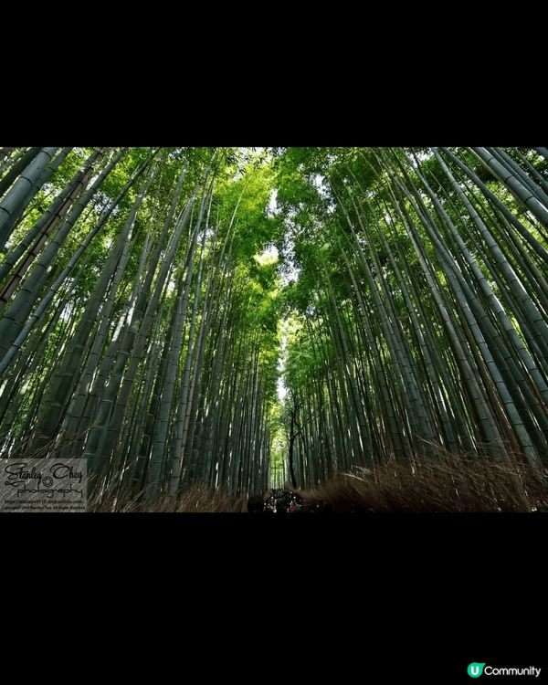 日本真係去極唔厭